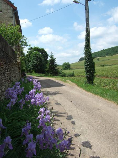 2010-05- (105).JPG